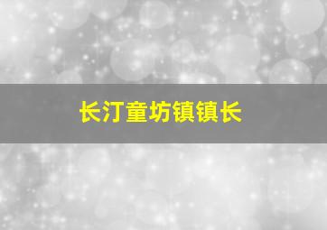 长汀童坊镇镇长