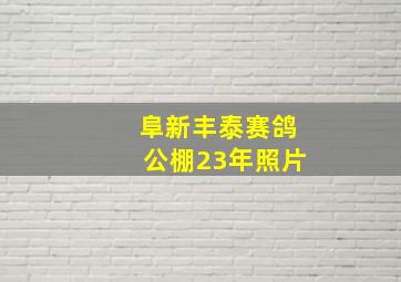 阜新丰泰赛鸽公棚23年照片