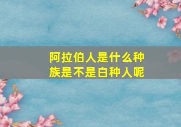 阿拉伯人是什么种族是不是白种人呢