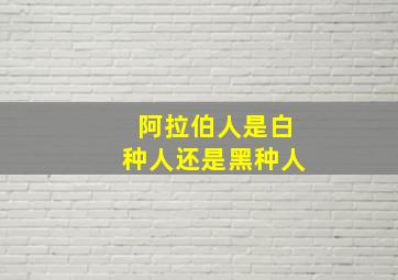 阿拉伯人是白种人还是黑种人