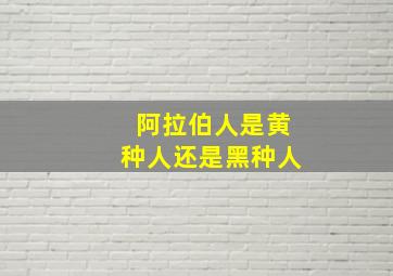 阿拉伯人是黄种人还是黑种人