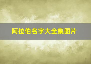 阿拉伯名字大全集图片