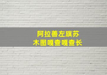 阿拉善左旗苏木图嘎查嘎查长