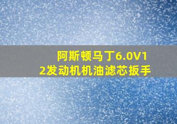 阿斯顿马丁6.0V12发动机机油滤芯扳手