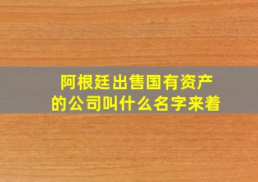 阿根廷出售国有资产的公司叫什么名字来着