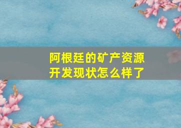 阿根廷的矿产资源开发现状怎么样了