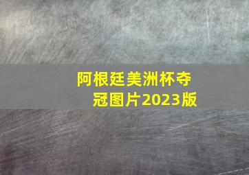 阿根廷美洲杯夺冠图片2023版