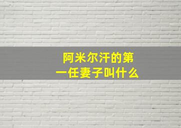 阿米尔汗的第一任妻子叫什么