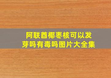 阿联酋椰枣核可以发芽吗有毒吗图片大全集