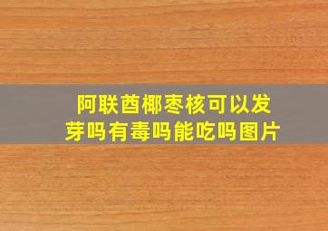 阿联酋椰枣核可以发芽吗有毒吗能吃吗图片