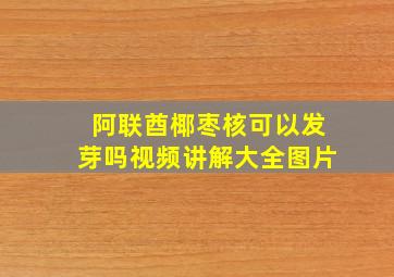 阿联酋椰枣核可以发芽吗视频讲解大全图片