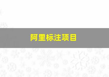 阿里标注项目