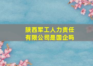 陕西军工人力责任有限公司是国企吗