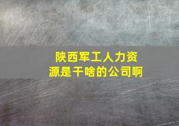 陕西军工人力资源是干啥的公司啊