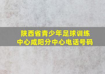 陕西省青少年足球训练中心咸阳分中心电话号码