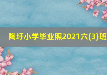 陶圩小学毕业照2021六(3)班