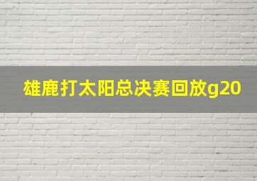 雄鹿打太阳总决赛回放g20