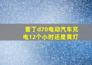 雷丁d70电动汽车充电12个小时还是黄灯