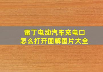 雷丁电动汽车充电口怎么打开图解图片大全