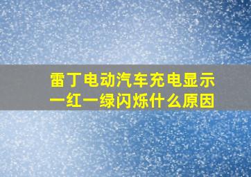 雷丁电动汽车充电显示一红一绿闪烁什么原因