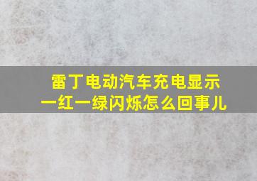 雷丁电动汽车充电显示一红一绿闪烁怎么回事儿