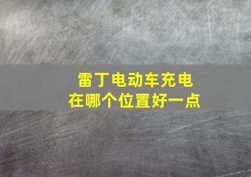 雷丁电动车充电在哪个位置好一点