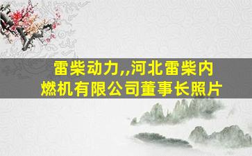 雷柴动力,,河北雷柴内燃机有限公司董事长照片