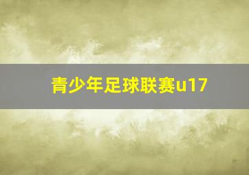 青少年足球联赛u17