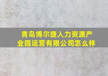 青岛博尔捷人力资源产业园运营有限公司怎么样