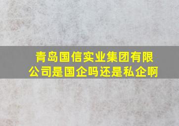 青岛国信实业集团有限公司是国企吗还是私企啊