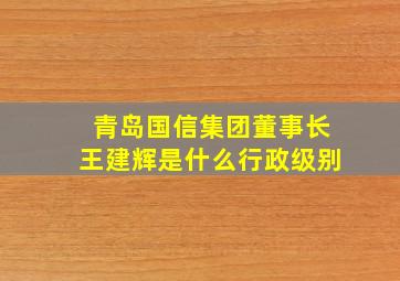 青岛国信集团董事长王建辉是什么行政级别