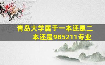 青岛大学属于一本还是二本还是985211专业