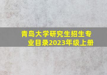 青岛大学研究生招生专业目录2023年级上册