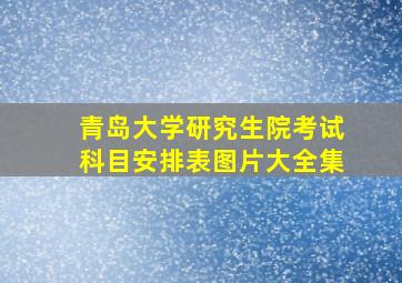 青岛大学研究生院考试科目安排表图片大全集