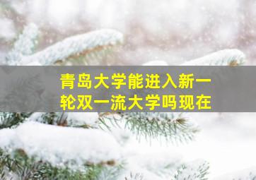 青岛大学能进入新一轮双一流大学吗现在