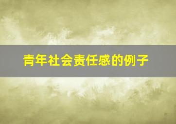 青年社会责任感的例子