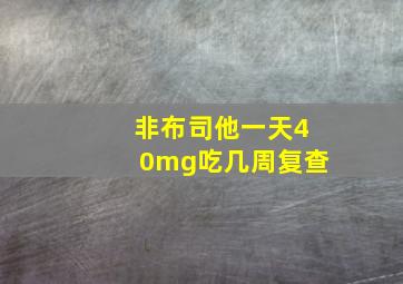 非布司他一天40mg吃几周复查