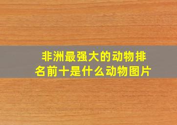 非洲最强大的动物排名前十是什么动物图片