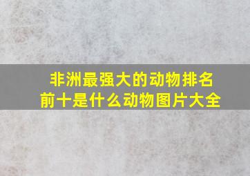 非洲最强大的动物排名前十是什么动物图片大全