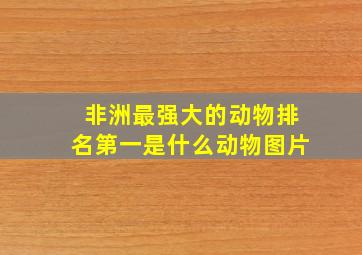 非洲最强大的动物排名第一是什么动物图片