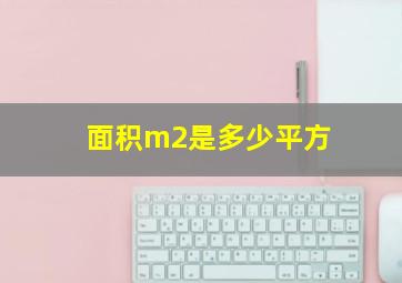 面积m2是多少平方