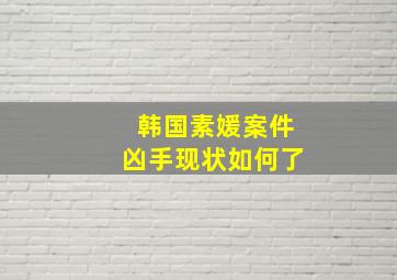 韩国素媛案件凶手现状如何了