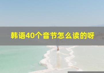 韩语40个音节怎么读的呀