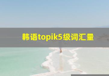 韩语topik5级词汇量