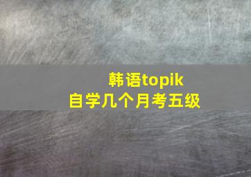 韩语topik自学几个月考五级