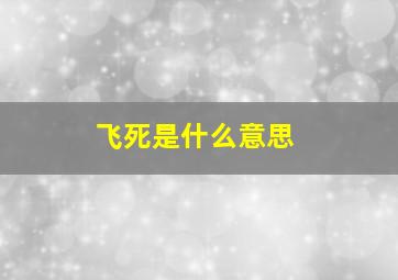 飞死是什么意思