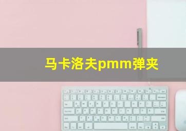 马卡洛夫pmm弹夹