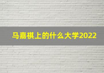 马嘉祺上的什么大学2022