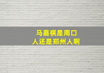 马嘉祺是周口人还是郑州人啊