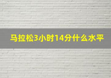 马拉松3小时14分什么水平